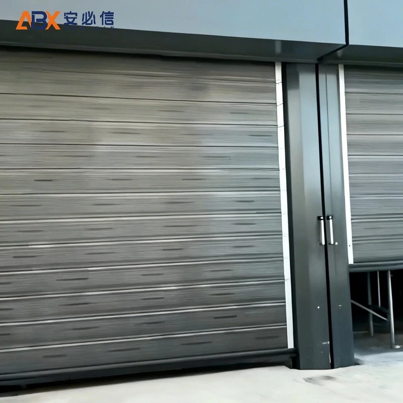 丽水市金属高速门